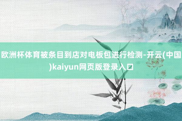 欧洲杯体育被条目到店对电板包进行检测-开云(中国)kaiyun网页版登录入口