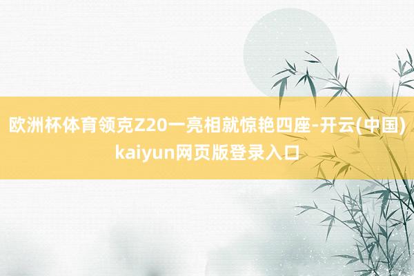 欧洲杯体育领克Z20一亮相就惊艳四座-开云(中国)kaiyun网页版登录入口