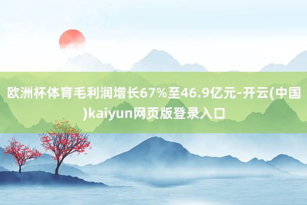 欧洲杯体育毛利润增长67%至46.9亿元-开云(中国)kaiyun网页版登录入口
