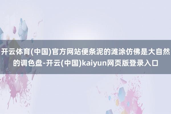 开云体育(中国)官方网站便条泥的滩涂仿佛是大自然的调色盘-开云(中国)kaiyun网页版登录入口