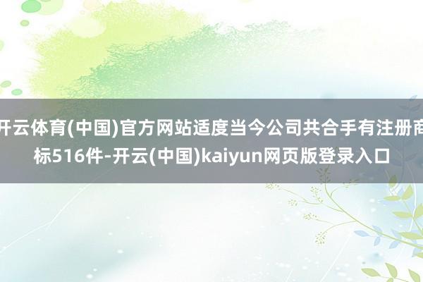 开云体育(中国)官方网站适度当今公司共合手有注册商标516件-开云(中国)kaiyun网页版登录入口