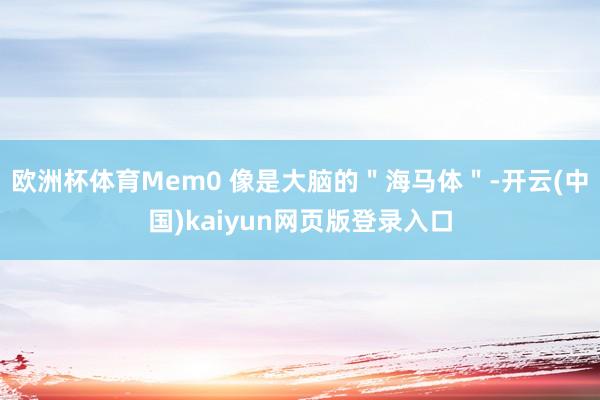 欧洲杯体育Mem0 像是大脑的＂海马体＂-开云(中国)kaiyun网页版登录入口