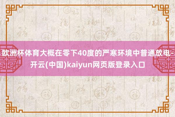 欧洲杯体育大概在零下40度的严寒环境中普通放电-开云(中国)kaiyun网页版登录入口