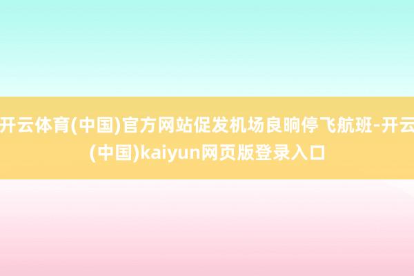开云体育(中国)官方网站促发机场良晌停飞航班-开云(中国)kaiyun网页版登录入口