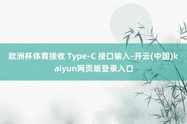 欧洲杯体育接收 Type-C 接口输入-开云(中国)kaiyun网页版登录入口