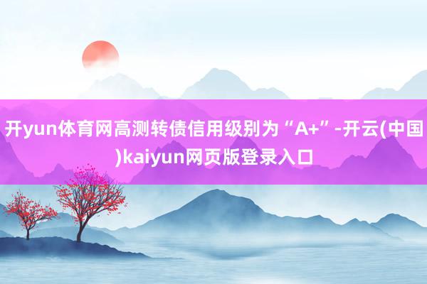 开yun体育网高测转债信用级别为“A+”-开云(中国)kaiyun网页版登录入口
