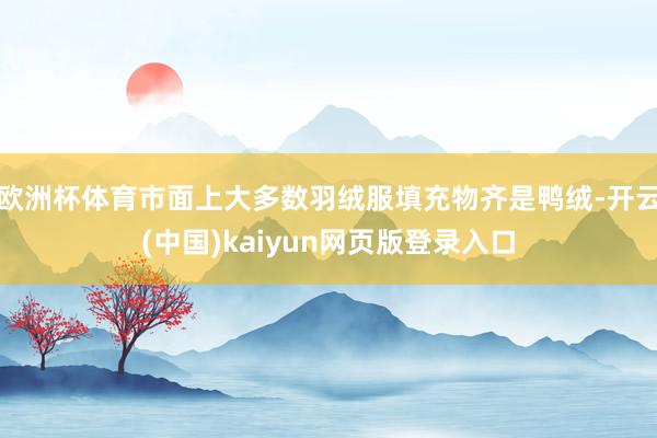 欧洲杯体育市面上大多数羽绒服填充物齐是鸭绒-开云(中国)kaiyun网页版登录入口