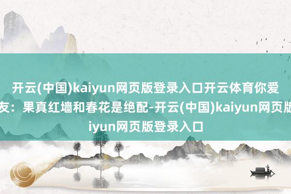 开云(中国)kaiyun网页版登录入口开云体育你爱了吗？网友：果真红墙和春花是绝配-开云(中国)kaiyun网页版登录入口