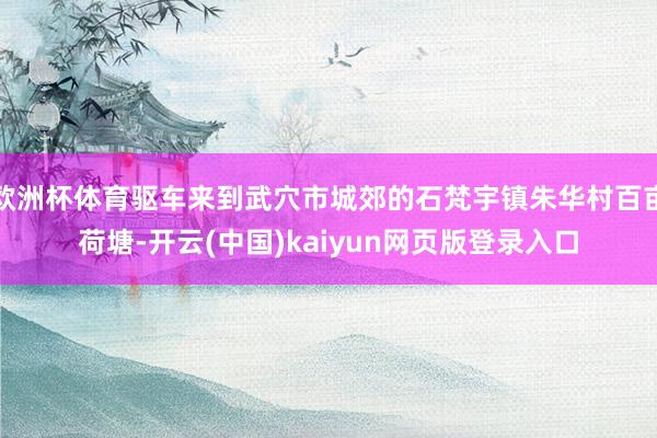 欧洲杯体育驱车来到武穴市城郊的石梵宇镇朱华村百亩荷塘-开云(中国)kaiyun网页版登录入口
