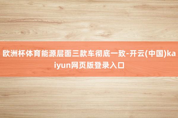 欧洲杯体育能源层面三款车彻底一致-开云(中国)kaiyun网页版登录入口