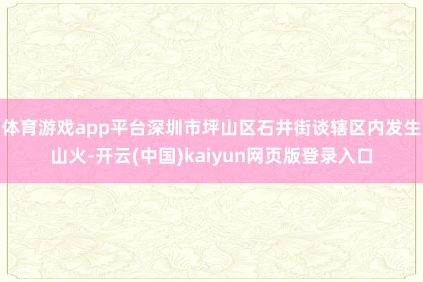 体育游戏app平台深圳市坪山区石井街谈辖区内发生山火-开云(中国)kaiyun网页版登录入口